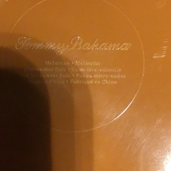 Lot of 8 Melamine Bowls and Plates - Picture 7 of 8